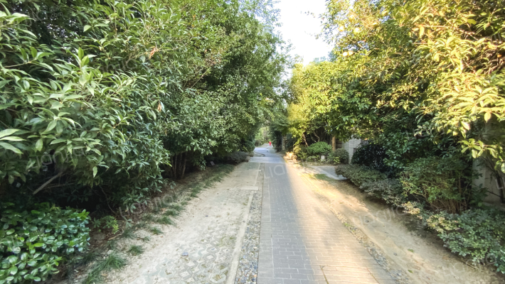 绿地秋霞坊(别墅)外景图