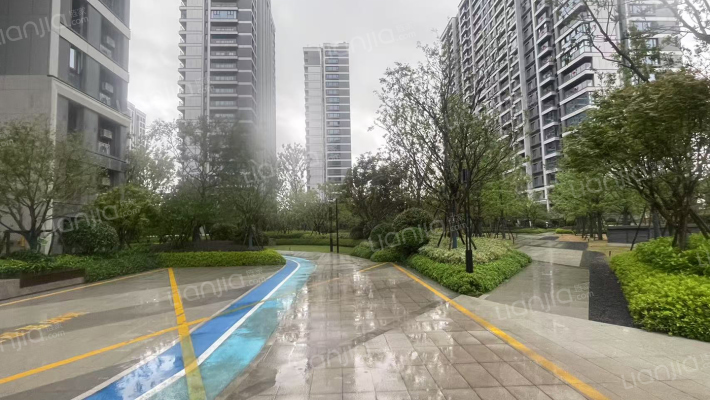 瓯江天空树外景图