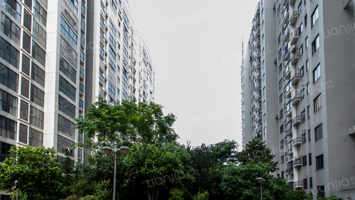 东城港湾外景图