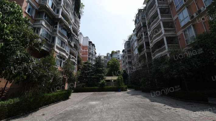 鼎新小区外景图