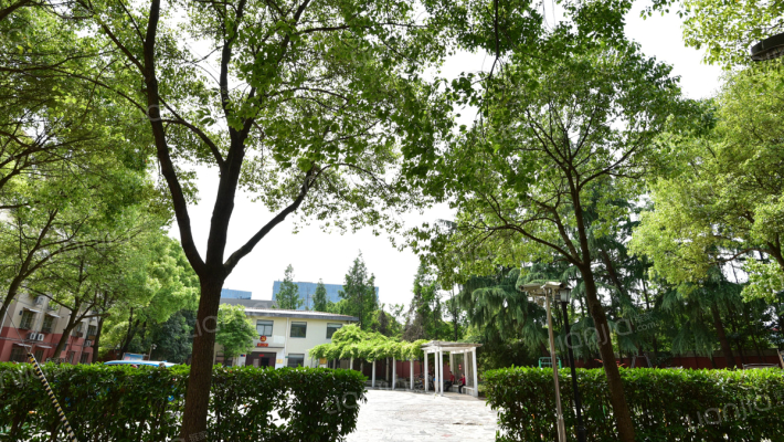 金泰公寓外景图