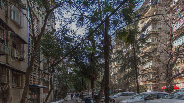 花桥二村外景图