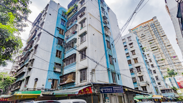 唐园东一街外景图