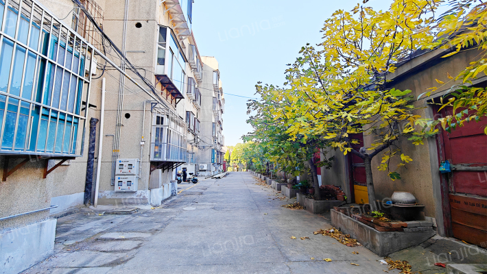 金山路48号外景图