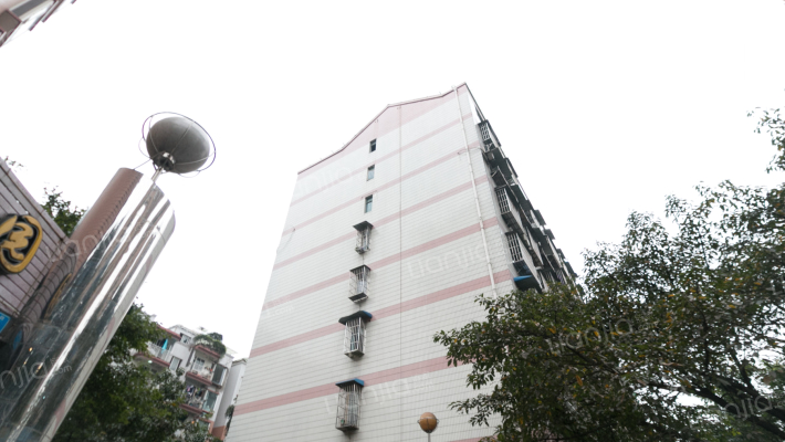 天工琴露园外景图