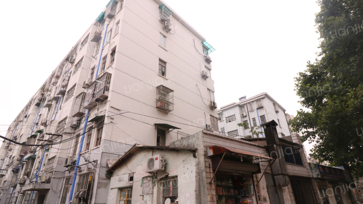 新庄村55号外景图