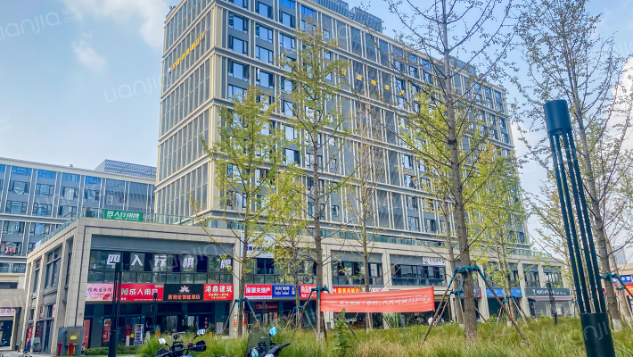 金科天宸十二街区外景图