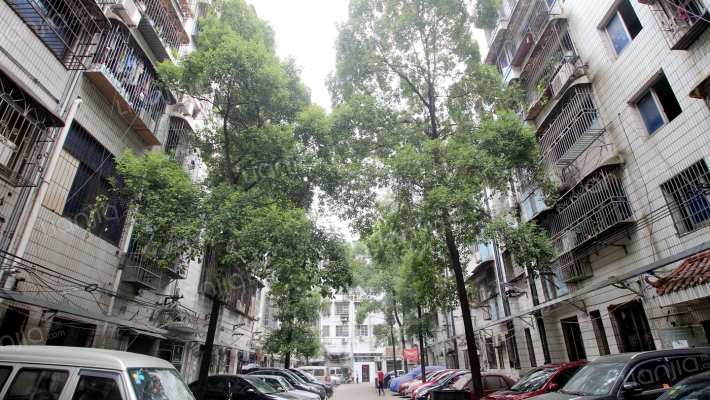 欣欣新村外景图