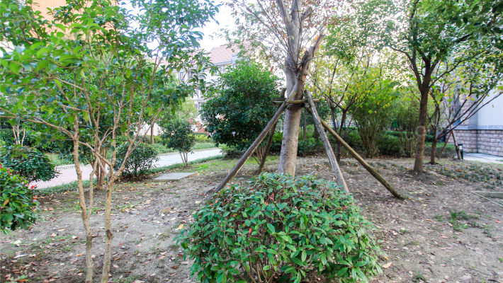 东渡海派青城外景图