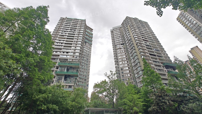 新鸿基悦城外景图