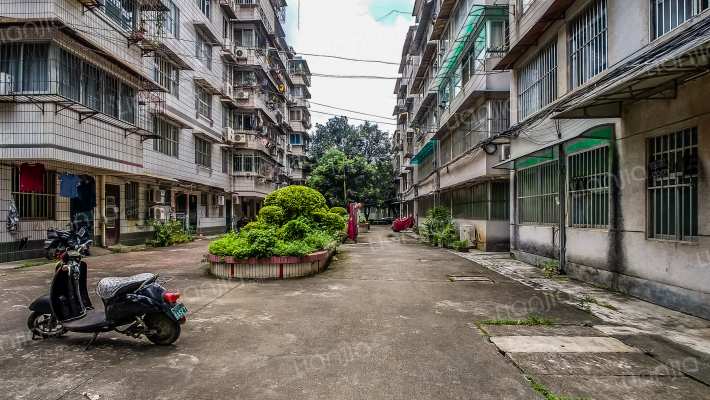 广西壮族自治区体育馆体育局大院外景图