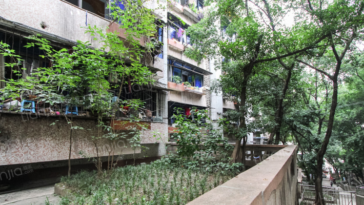 土桥新街外景图