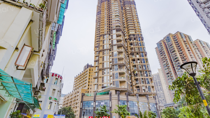 文德先生外景图