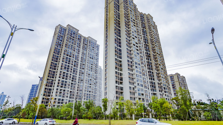 四季金辉外景图