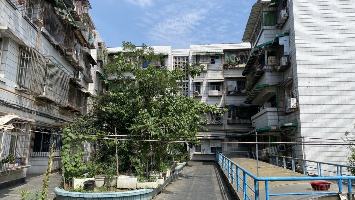 顺风商城外景图