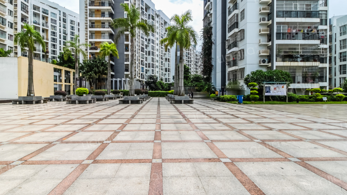 万正假日风景外景图