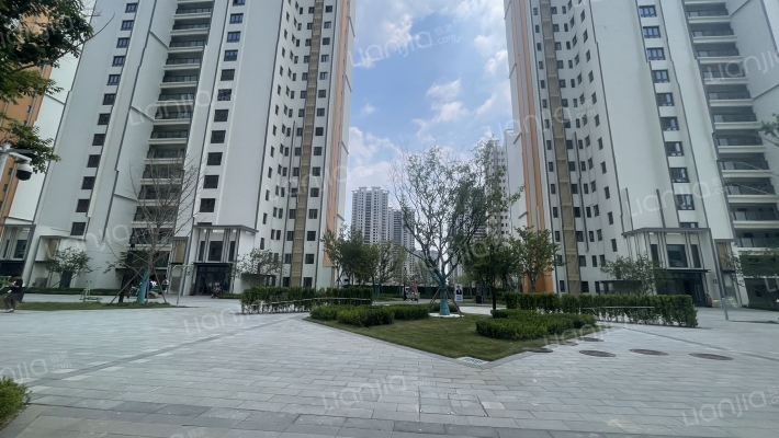 实地蔷薇国际外景图