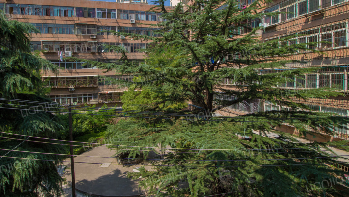 市医院家属院外景图