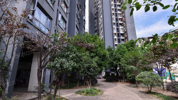 鼎科阿布阿布外景图