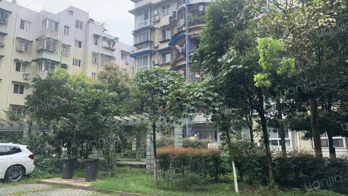 南河东街29号外景图