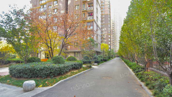 睿智禧园外景图