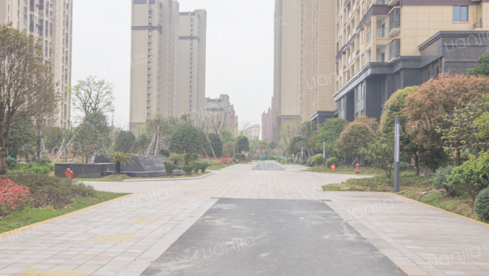 龙庭一品外景图