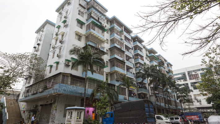 客村花园外景图