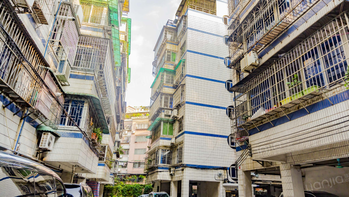 横枝岗81号大院外景图