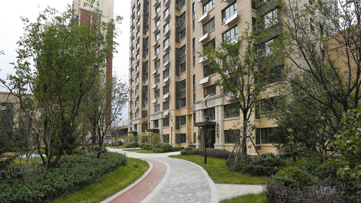 保利百合外景图