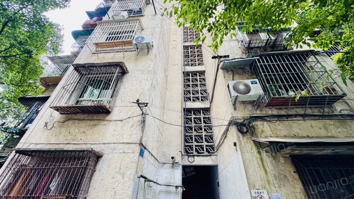 红育坡65号外景图