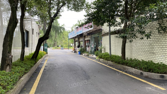 棠中路二段81号外景图