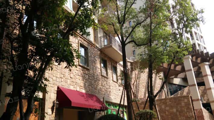 麓山国际SOLO公寓外景图