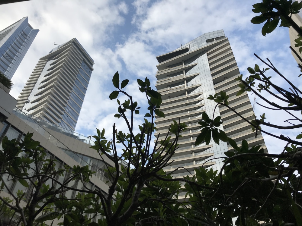 深圳湾1号实景图