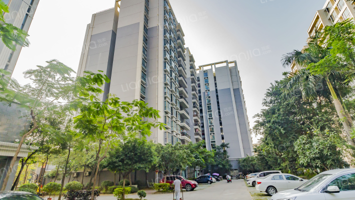 东江雅苑外景图