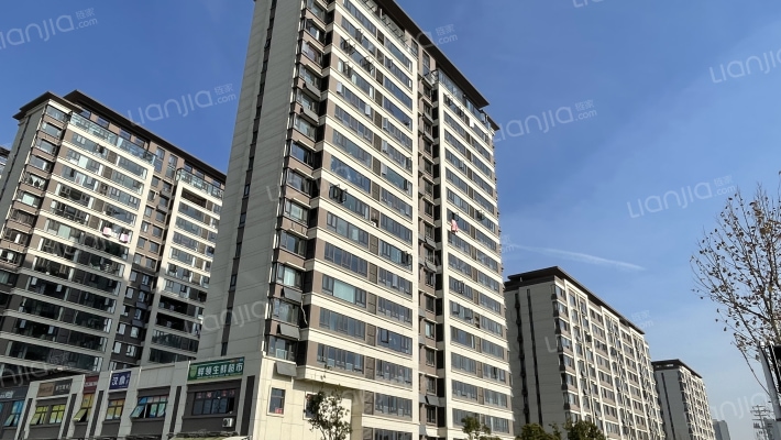 徽创芬芳四季外景图