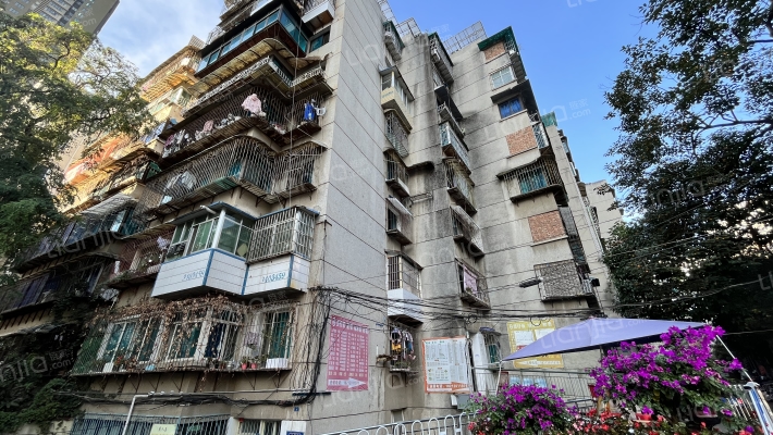 大营路8号外景图