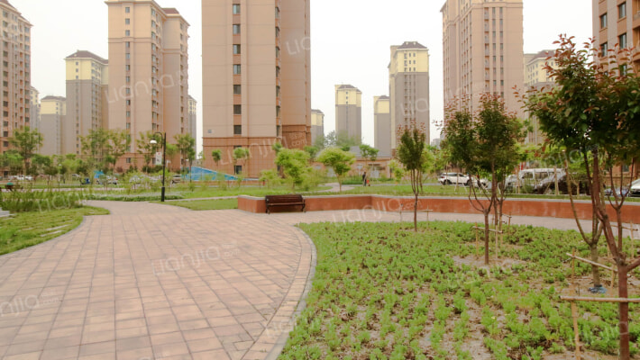 蝶恋家园外景图