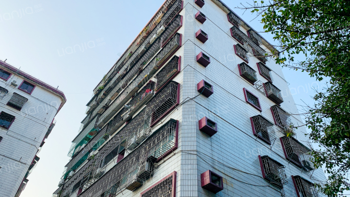 唐园东三街外景图