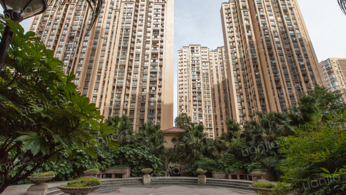 橙花风景外景图