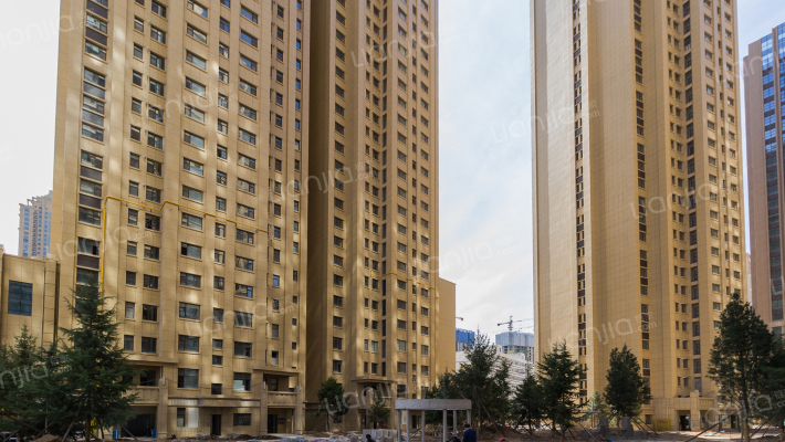 至诚枫叶国际外景图