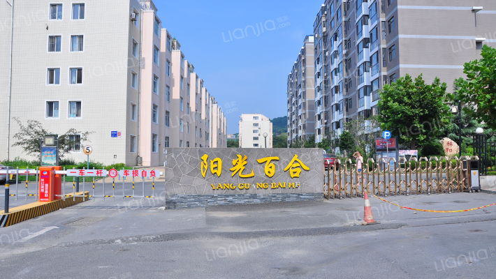 阳光百合外景图