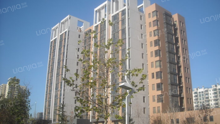 青年汇佳园外景图