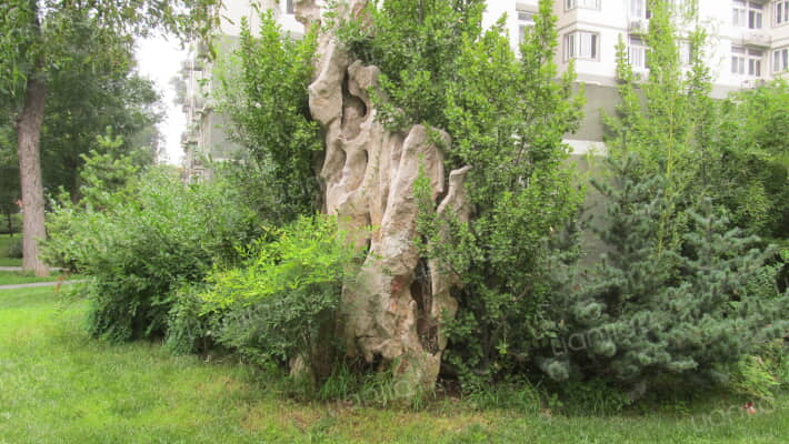 北京语言大学校内外景图