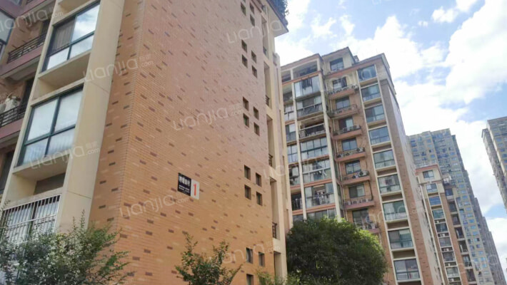 荇塘新村外景图