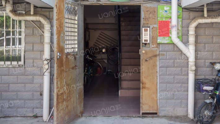 金山桔园泰园外景图