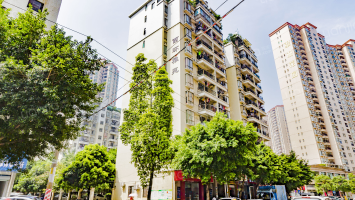 西环雅苑外景图