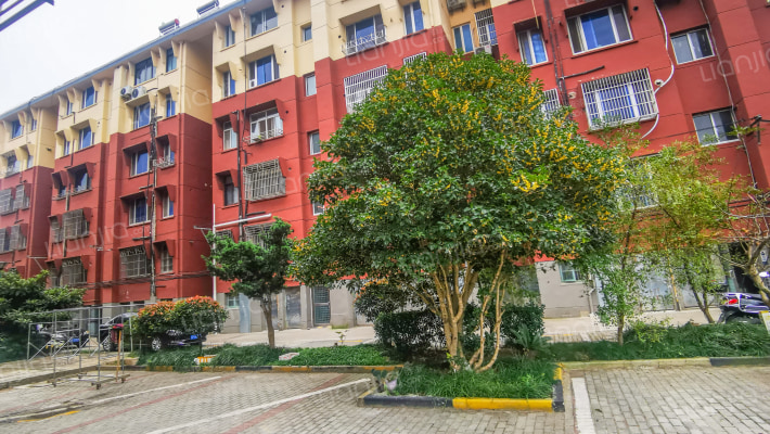 彩臣南村外景图