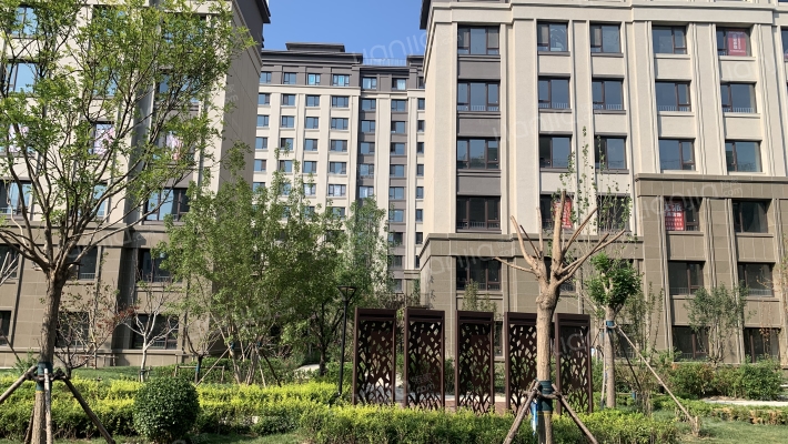 天保天成华境外景图