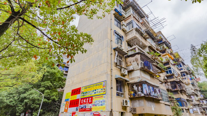 武汉大学东中区外景图