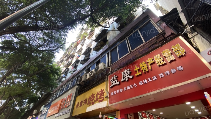 新民街264号外景图